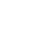 EasySMX logo